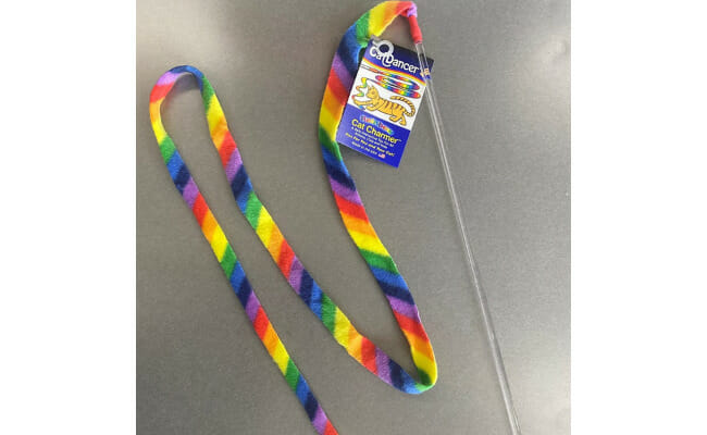 Cat Dancer Rainbow Cat Charmer